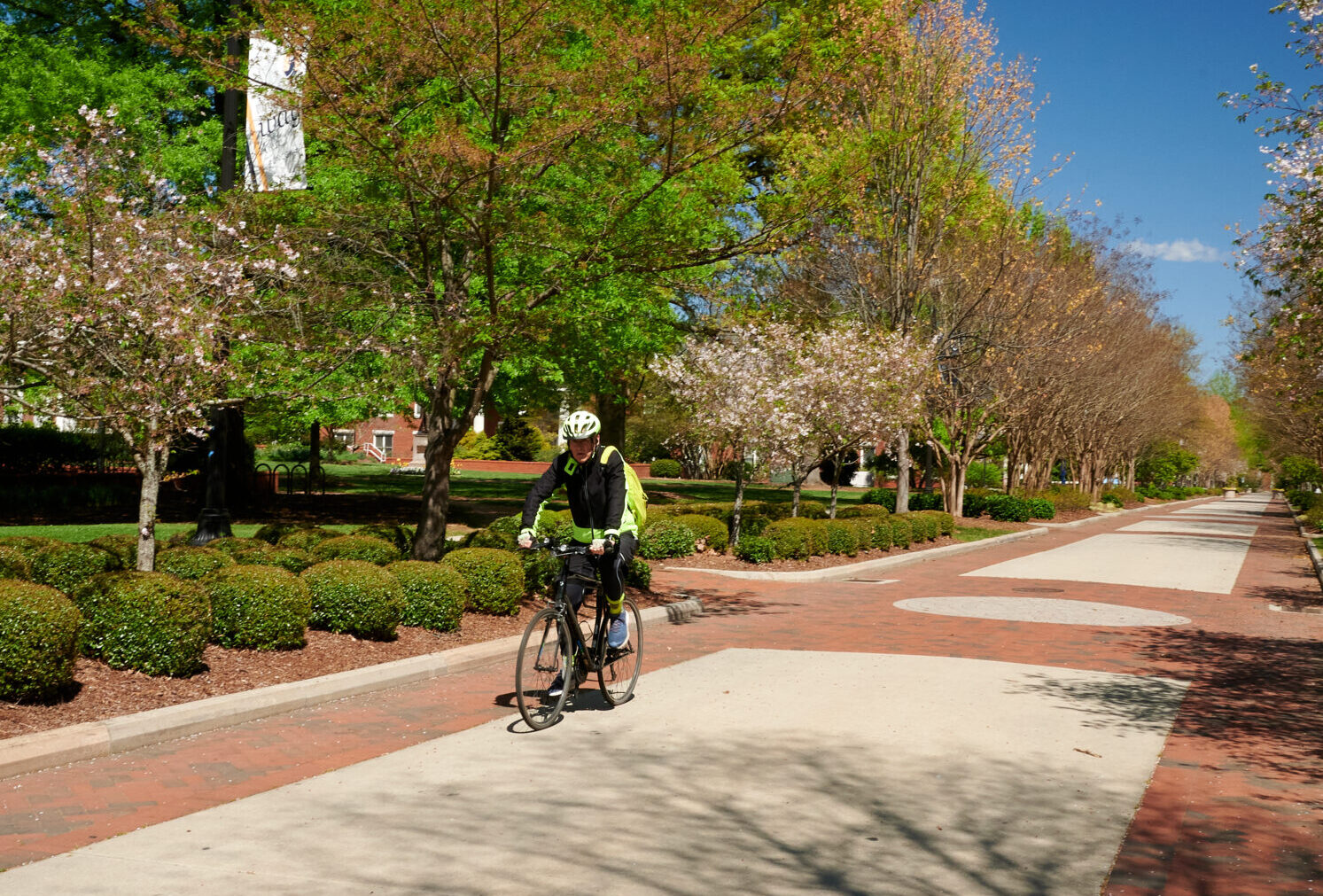 Person riding a bike on campus