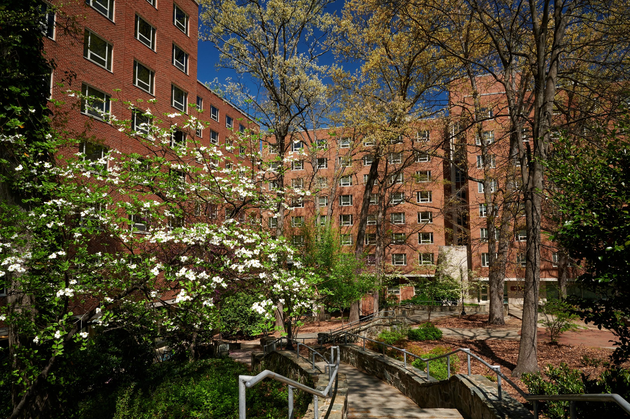 Outside of Highrises